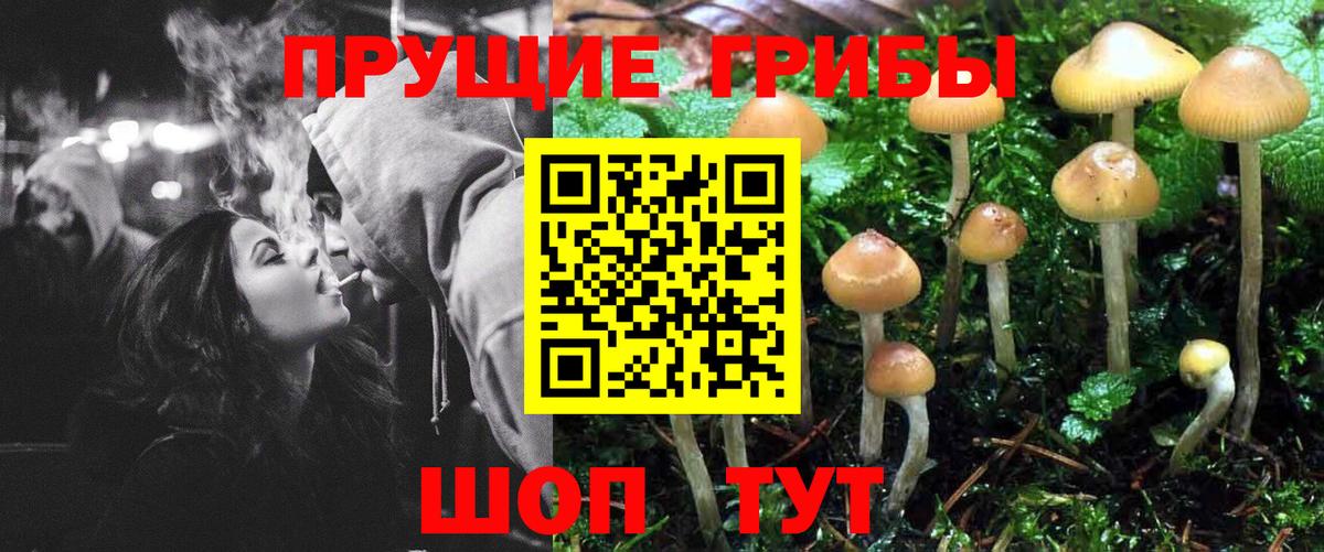 Псилоцибиновые грибы мицелий Удомля